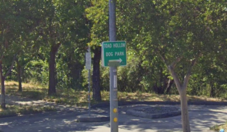 Toad Hollow Dog Park in Davis Reopens After Rain Closure, Muddy Paws Welcome