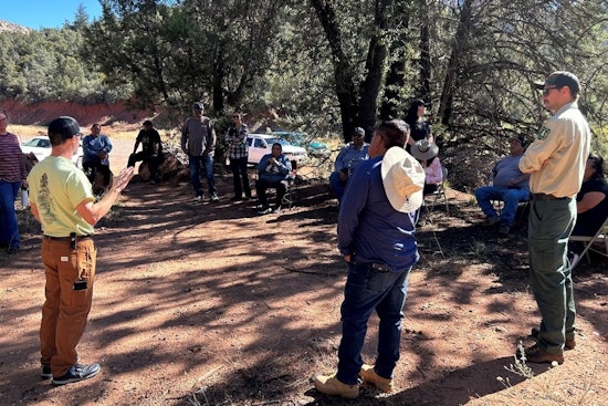 Tonto National Forest Revitalizes Emory Oak Groves in Arizona with Apache Tribal Insights