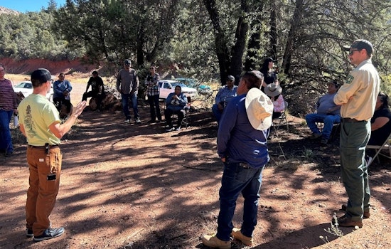 Tonto National Forest Revitalizes Emory Oak Groves in Arizona with Apache Tribal Insights