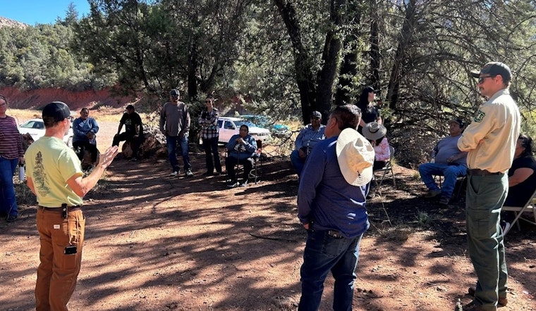 Tonto National Forest Revitalizes Emory Oak Groves in Arizona with Apache Tribal Insights