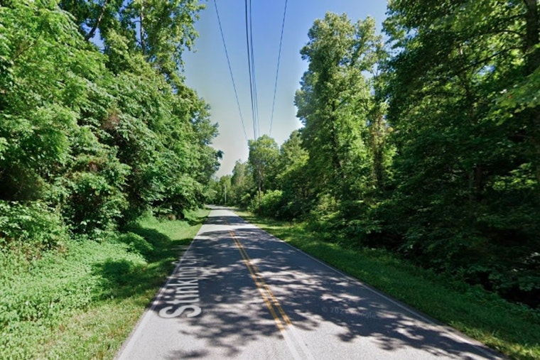 Tragic Collision as Teen Driver Fatally Strikes Bear on Rural Campbell County Road