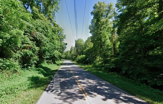 Tragic Collision as Teen Driver Fatally Strikes Bear on Rural Campbell County Road