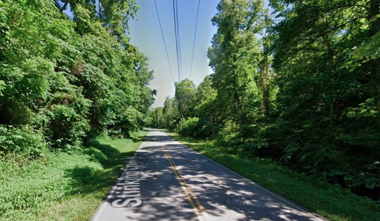 Tragic Collision as Teen Driver Fatally Strikes Bear on Rural Campbell County Road