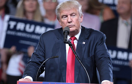 Trump Campaign Seeks to Stop Mail-In Ballot Processing in Colorado Over Election Security Breach