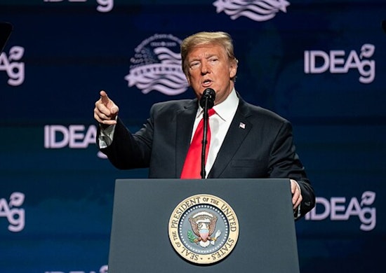 Trump Triumphs in Arizona, Ex-POTUS Snatches Battleground State in 2024, AZ Electorate Flip-Flops from 2020!