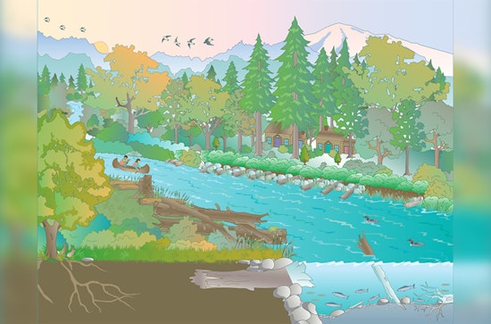 Tukwila Levee Repair to Enhance Flood Protection and Salmon Habitats Along Green River
