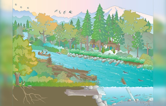 Tukwila Levee Repair to Enhance Flood Protection and Salmon Habitats Along Green River