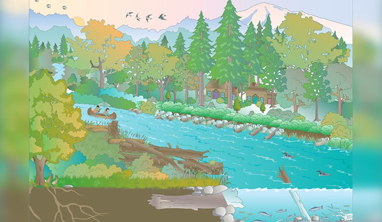 Tukwila Levee Repair to Enhance Flood Protection and Salmon Habitats Along Green River