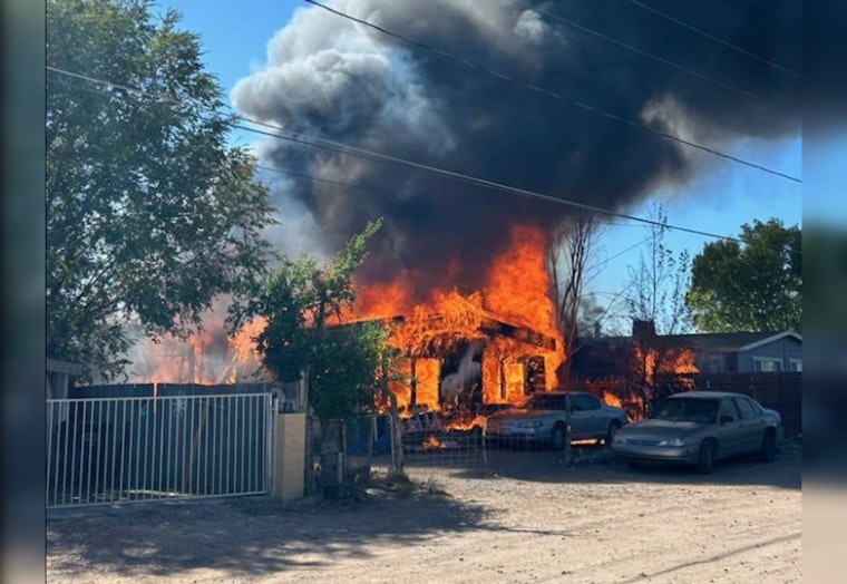 Two Dogs Miraculously Rescued from Devastating Blaze in Yavapai County's Paulden Area