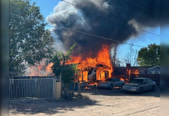 Two Dogs Miraculously Rescued from Devastating Blaze in Yavapai County's Paulden Area