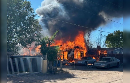Two Dogs Miraculously Rescued from Devastating Blaze in Yavapai County's Paulden Area
