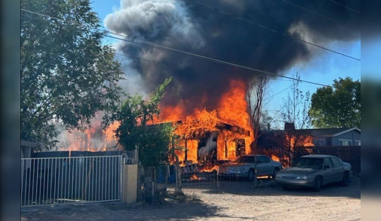 Two Dogs Miraculously Rescued from Devastating Blaze in Yavapai County's Paulden Area