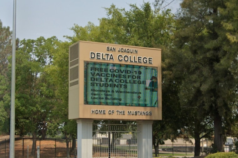Two Injured as Tree Falls Amid Bustle of Delta College Flea Market