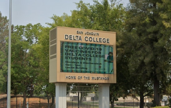 Two Injured as Tree Falls Amid Bustle of Delta College Flea Market