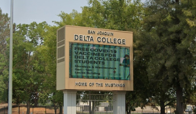 Two Injured as Tree Falls Amid Bustle of Delta College Flea Market