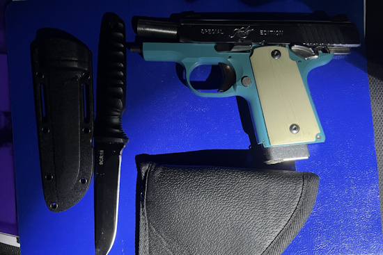 Two Juveniles Detained on Weapons Charges, Linked to Alleged Gang Activity in Santa Rosa