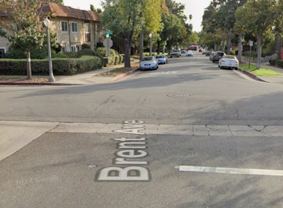 Two Men, Including Victim's Grandson, Charged in South Pasadena Murder-Burglary