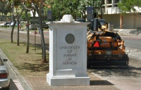 University of Hawaii's Sports Community Rallies Behind Athletics Director Following Surprise Dismissal