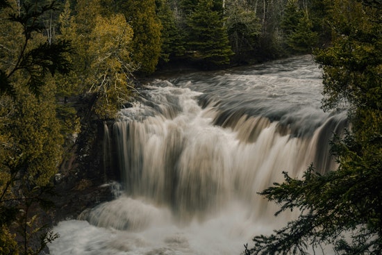 University of Minnesota Study Reveals Neonicotinoid Contamination in State Water Supplies