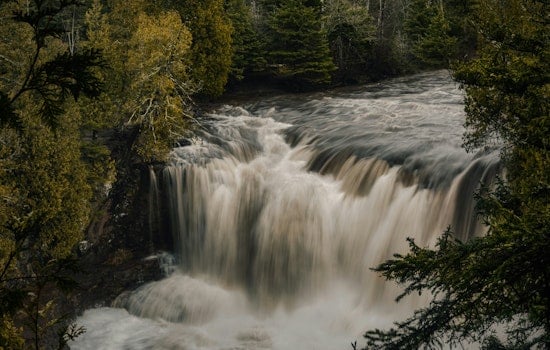 University of Minnesota Study Reveals Neonicotinoid Contamination in State Water Supplies