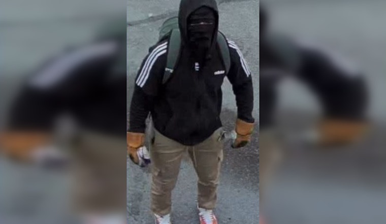 UPDATE: Las Vegas Man Accused of Multitude of Burglaries Held on $500K Bail
