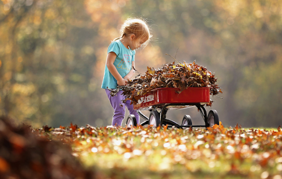 Upper Arlington Residents Reminded to Rake Leaves Before Dec. 1 Deadline to Ensure Efficient Collection and Prevent Flooding