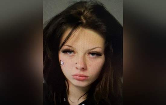 Urgent Search Underway for Missing 17-Year-Old Alyssa Novak in Philadelphia