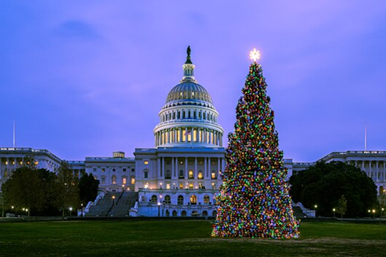 U.S. Capitol Christmas Tree Makes Festive Stops in Colorado Cities on Nationwide Journey