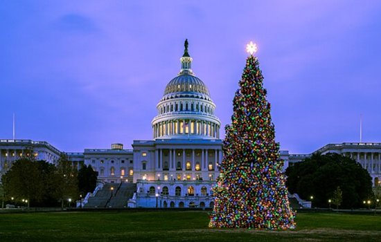 U.S. Capitol Christmas Tree Makes Festive Stops in Colorado Cities on Nationwide Journey