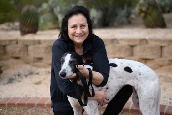 Valerie Pullara Joins Pima County Small Business Commission to Advocate for Local Entrepreneurs