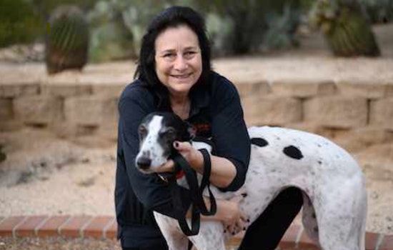 Valerie Pullara Joins Pima County Small Business Commission to Advocate for Local Entrepreneurs