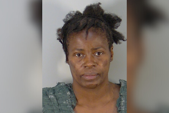 Vickie Lynn Williams Declared Competent for Trial in Mount Dora Couple's Murder Case