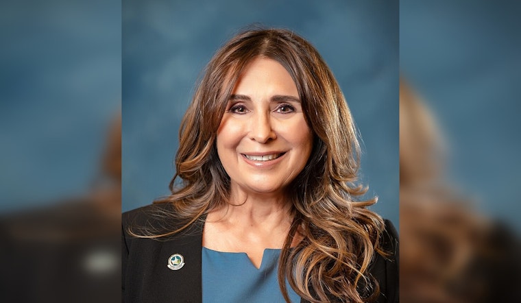 Victoria Seaman Concedes Las Vegas Mayoral Race to Former U.S. House Member Shelley Berkley