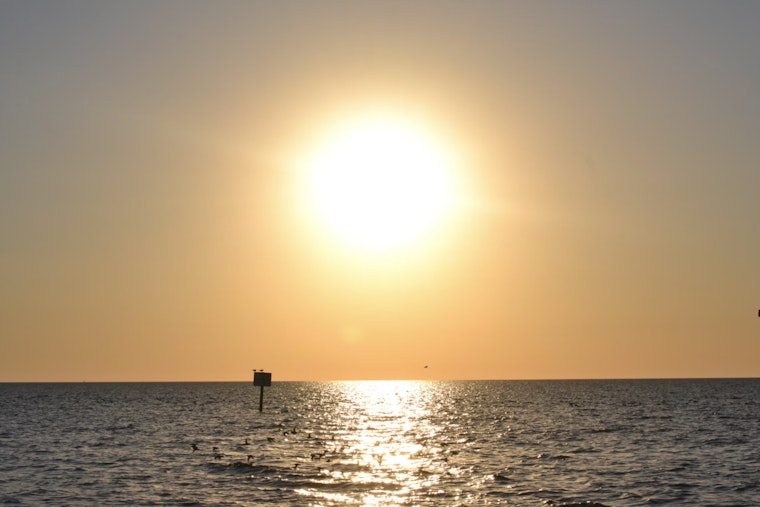 Warm and Sunny Outlook for Tampa as NWS Predicts Clear Skies and Gentle Breezes
