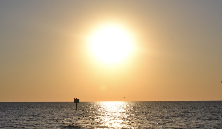 Warm and Sunny Outlook for Tampa as NWS Predicts Clear Skies and Gentle Breezes
