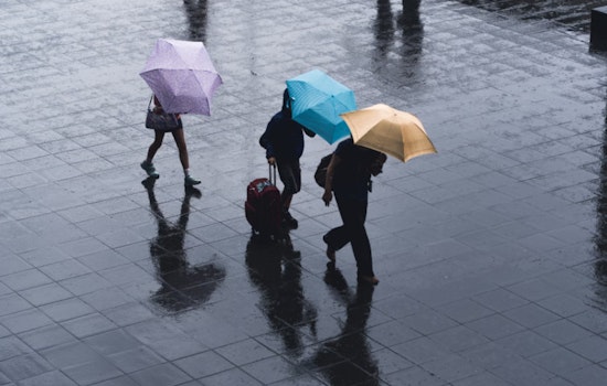 Washington D.C. Braces for Rainy Thanksgiving Eve, Sunny Weekend Ahead