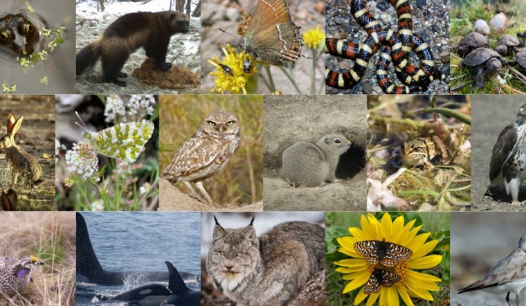 WDFW Offers $400,000 in Grants for Washington Wildlife Conservation Projects