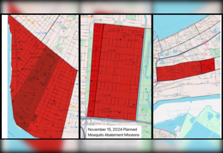 West Nile Virus Detected in New Orleans Mosquitoes, City to Launch Abatement Efforts in Targeted Neighborhoods