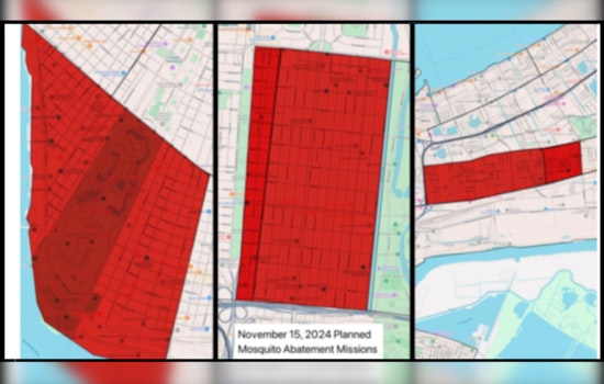 West Nile Virus Detected in New Orleans Mosquitoes, City to Launch Abatement Efforts in Targeted Neighborhoods
