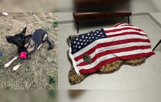 Williamson County Sheriff’s Office Honors Legacy of Beloved K9 Enzo After His Passing