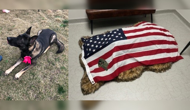Williamson County Sheriff’s Office Honors Legacy of Beloved K9 Enzo After His Passing