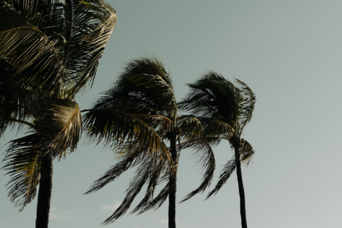 Wind Advisory in Effect for Central Valley and Delta Regions as Strong