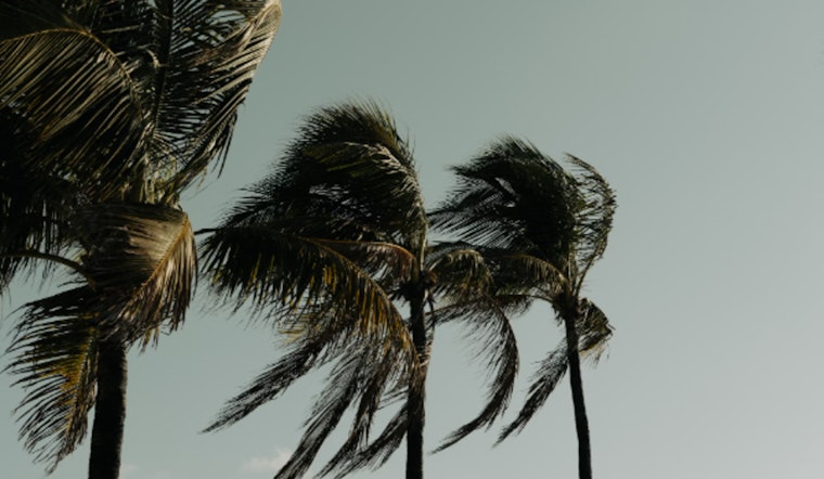 Wind Advisory in Effect for Central Valley and Delta Regions as Strong Gusts Up to 45 mph Expected