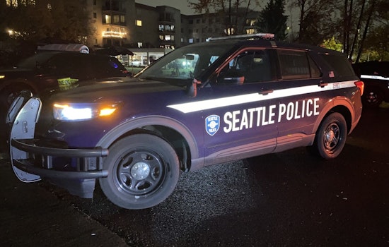 Woman Arrested on Vehicular Assault Charges After Car Plunges into Water in Seattle; Teen Critically Injured