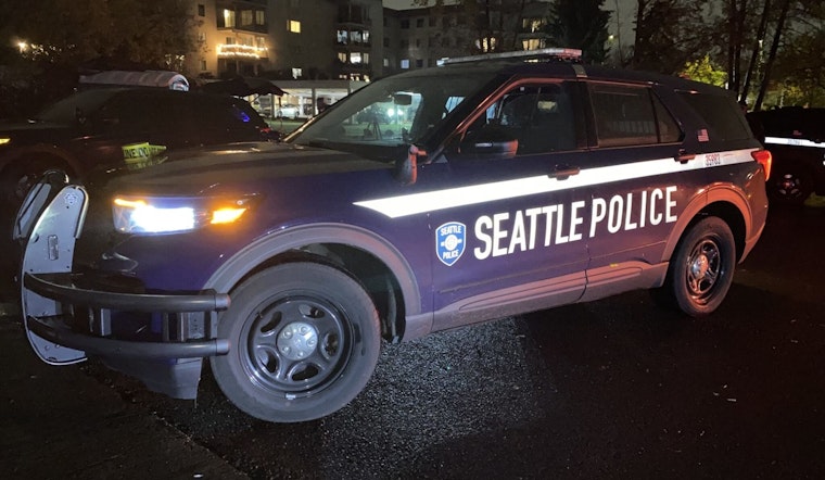 Woman Arrested on Vehicular Assault Charges After Car Plunges into Water in Seattle; Teen Critically Injured