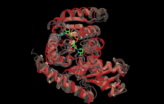World's Fastest Supercomputer "Frontier" Powers AI Protein Revolution at ORNL, Aiming to Transform Medicine and Clean-Up