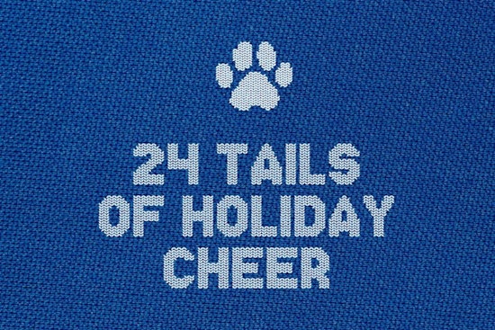 24 Tails of Holiday Cheer as Wake County Animal Center Seeks Homes