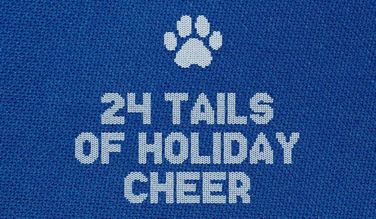 24 Tails of Holiday Cheer as Wake County Animal Center Seeks Homes