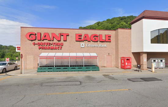 Abandoned Dogs Found Taped Inside Boxes at White Oak Giant Eagle, Now Safe with Local Shelter