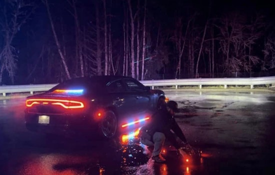 Alleged Car Thief Rescued from Tree After Chase Ends on Olympia Cliffside